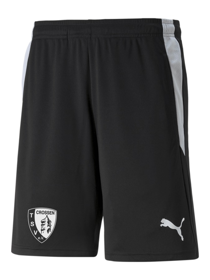 PUMA teamLIGA Referee Shorts