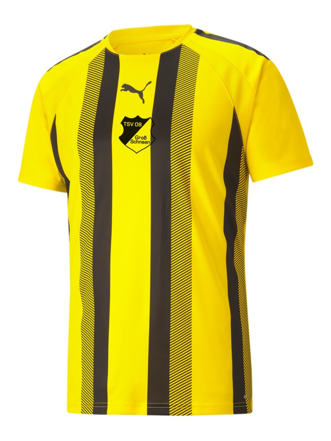 PUMA teamLIGA Striped Trikot