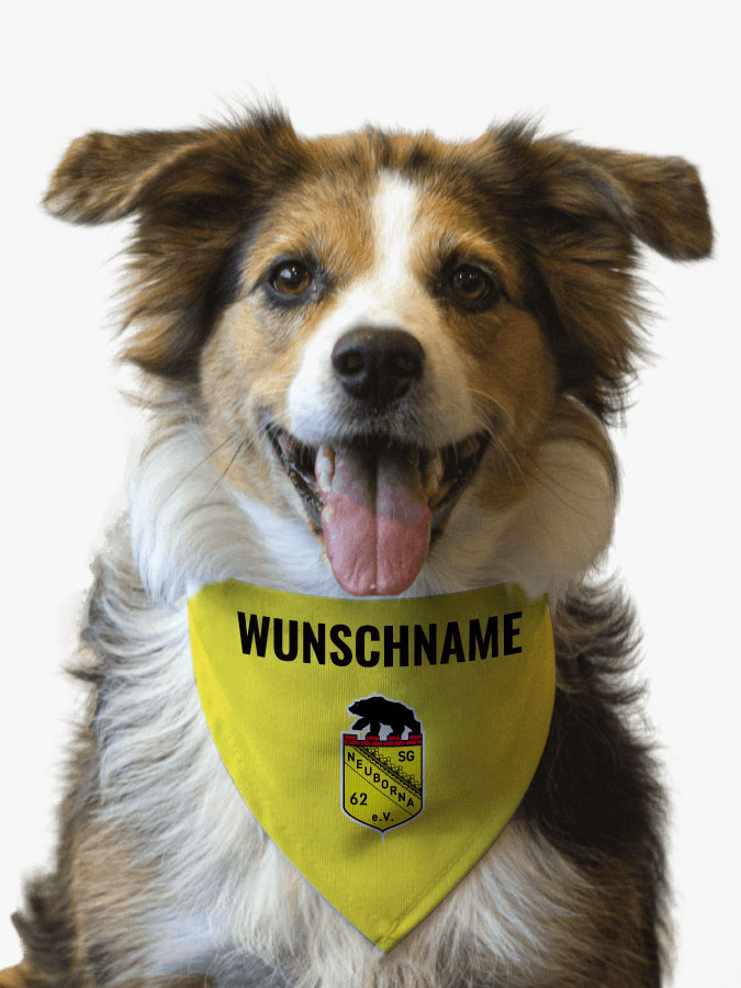 Hundehalstuch