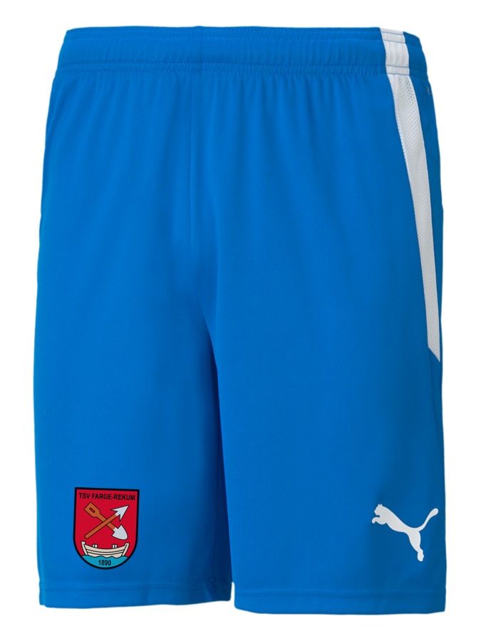 PUMA teamLIGA Shorts