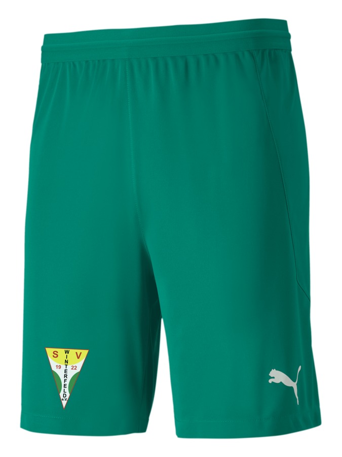 PUMA teamFINAL 21 Knit Shorts