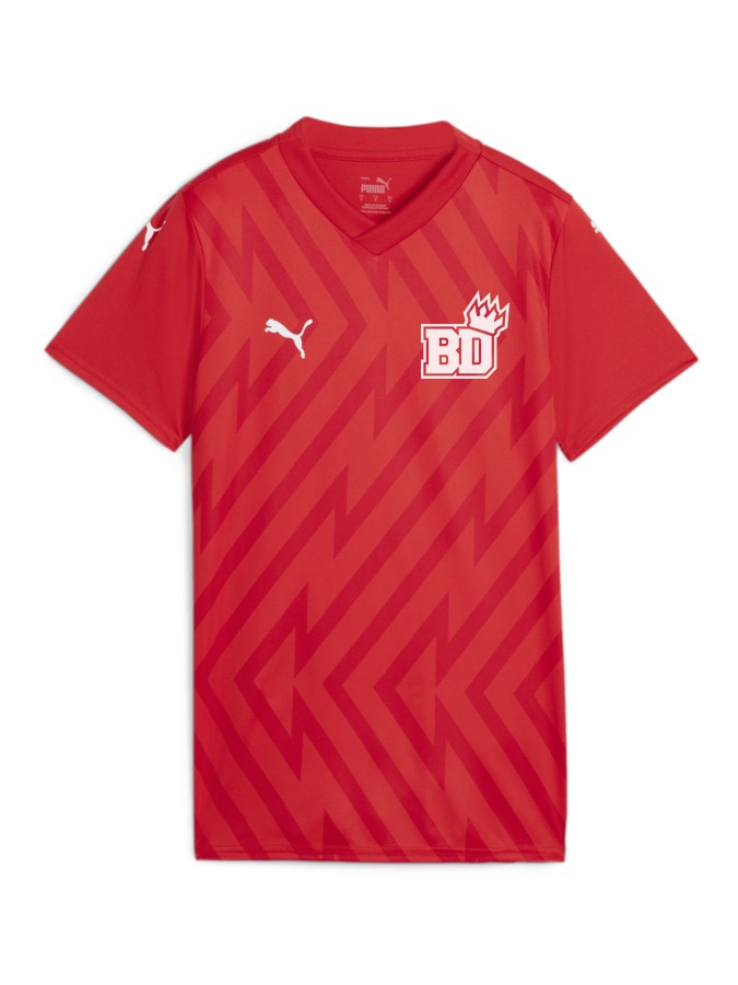 PUMA teamGLORY Trikot Damen