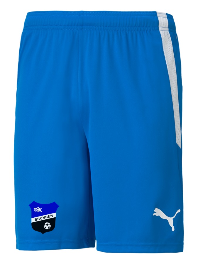 PUMA teamLIGA Shorts