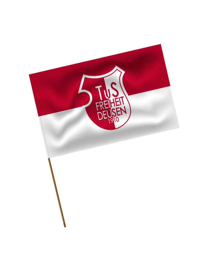Stadionfahne Logo