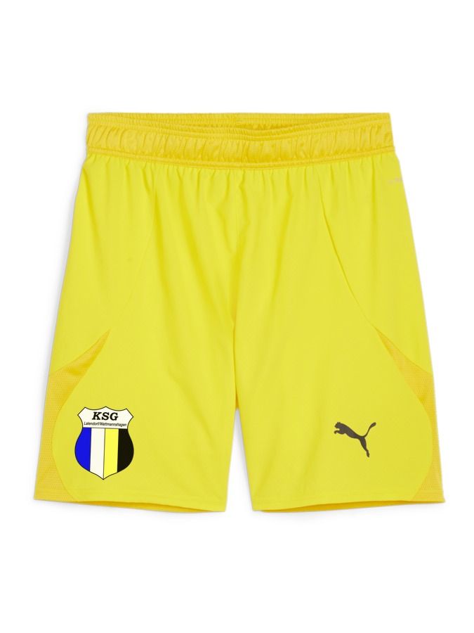 PUMA teamFINAL Shorts