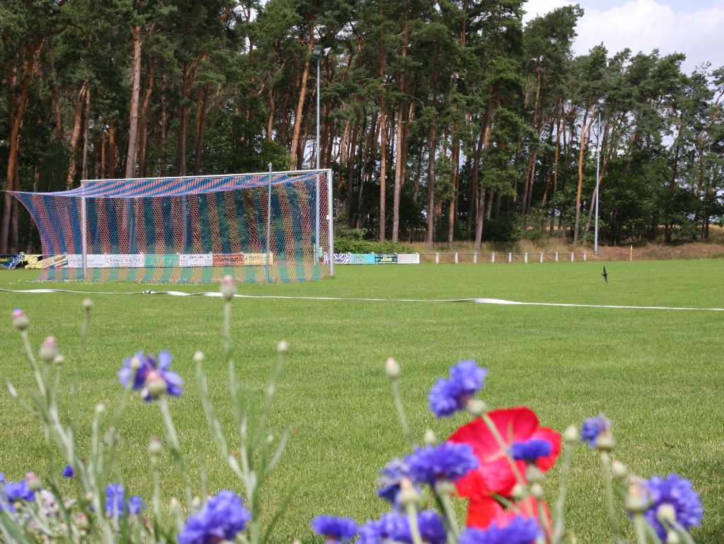 Individuelles Vereinsbild