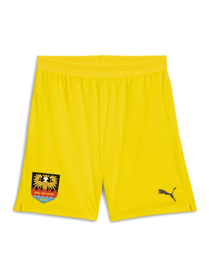 PUMA teamCUP Shorts