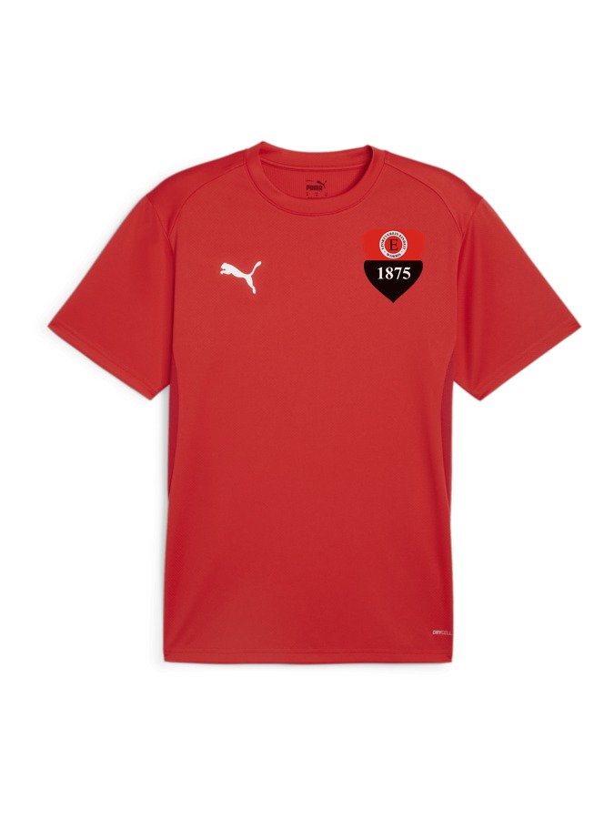 PUMA teamGOAL Trikot