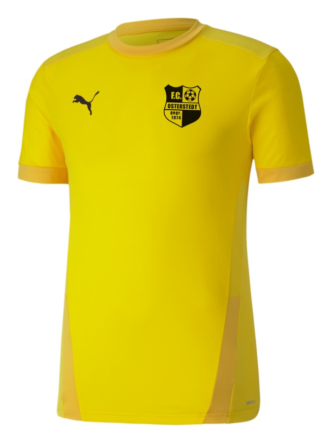 PUMA teamGOAL 23 Trikot