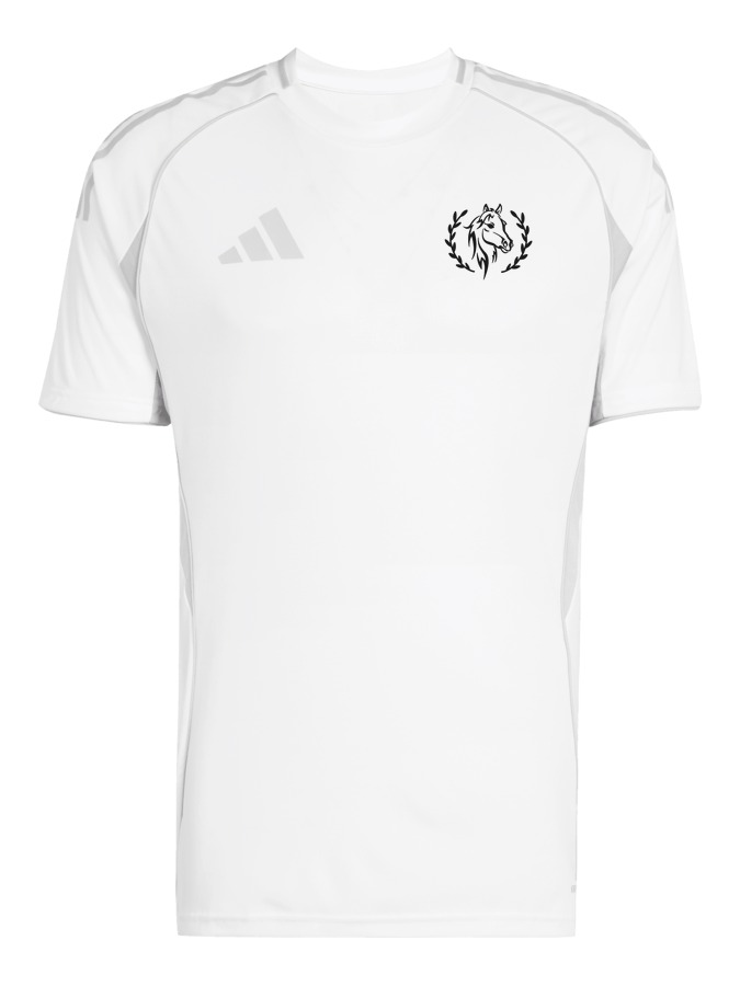 adidas Tiro 25 Competition Match Trikot