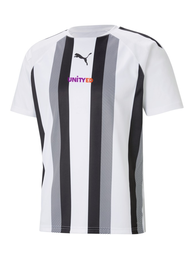 PUMA teamLIGA Striped Trikot
