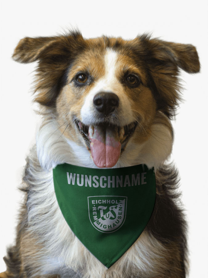 Hundehalstuch