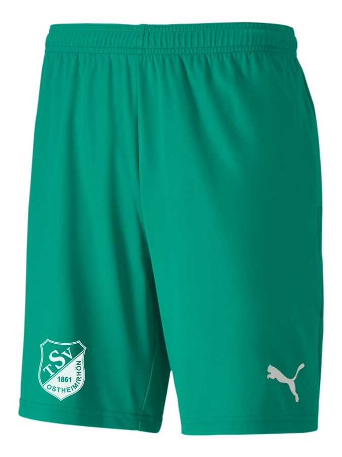 PUMA teamGOAL 23 Knit Shorts