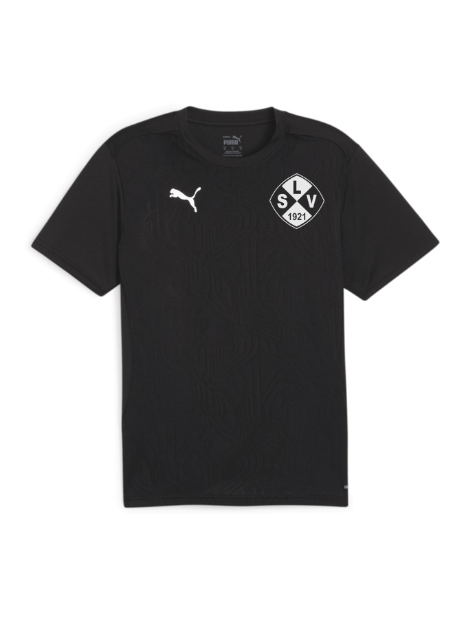 PUMA teamFINAL Trainingsshirt