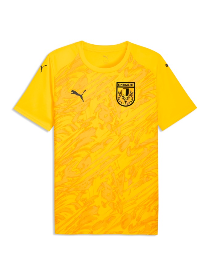 PUMA teamFINAL Graphic Trikot