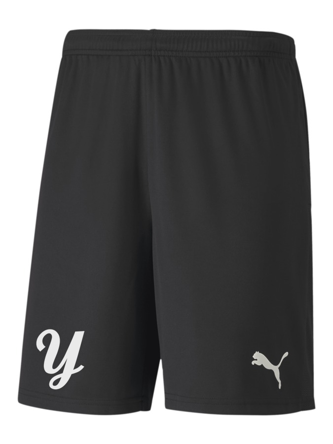 PUMA teamGOAL 23 Knit Shorts