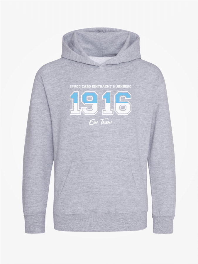 Hoodie Established Kids