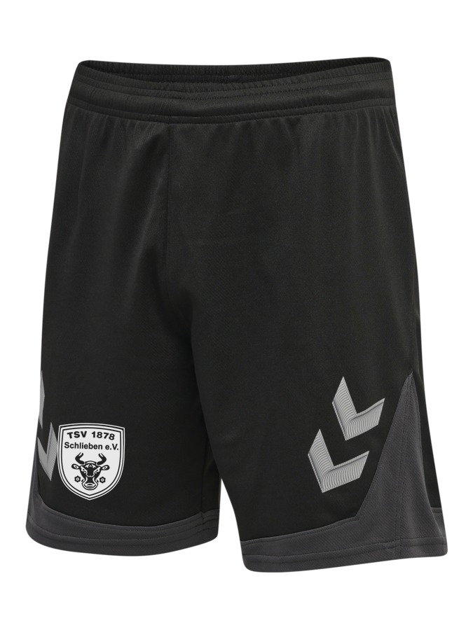Hummel Lead Trainingsshorts
