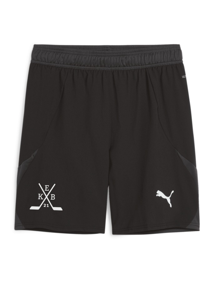 PUMA teamFINAL Shorts