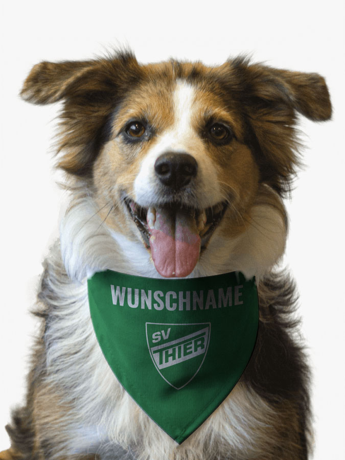 Hundehalstuch