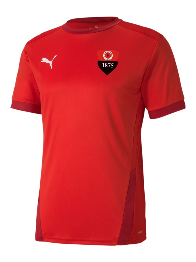 PUMA teamGOAL 23 Trikot