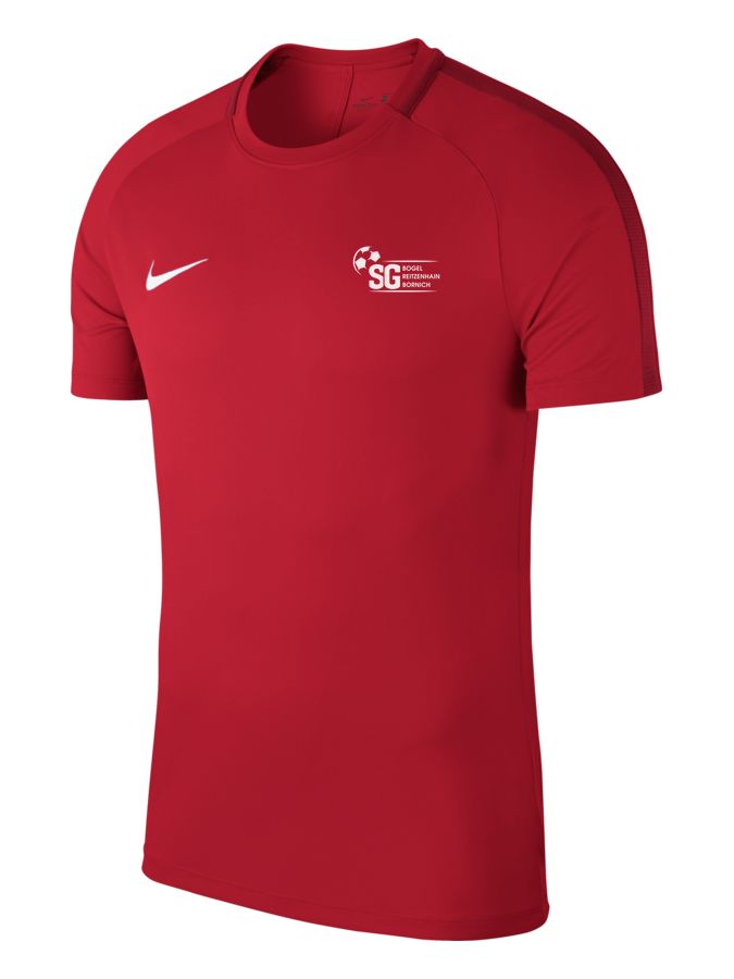 Nike Academy 18 Top