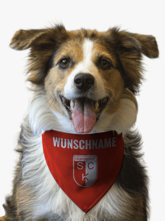 Hundehalstuch