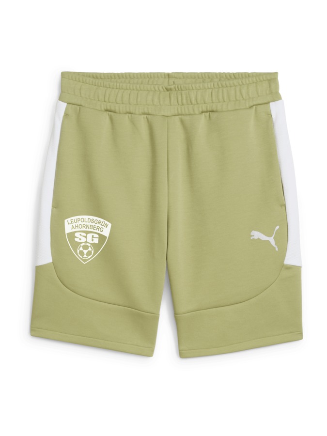 PUMA teamEVOSTRIPE Shorts