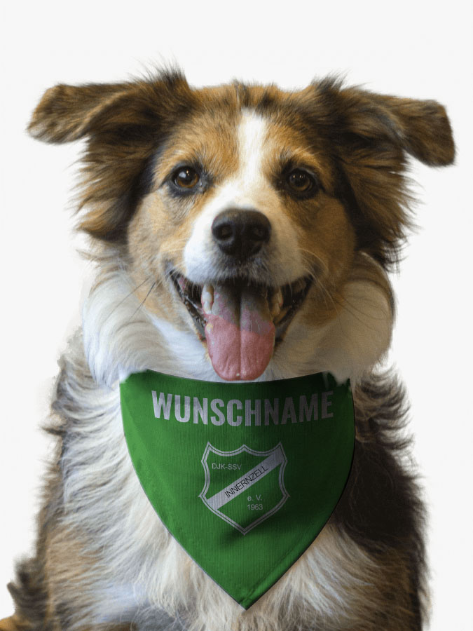 Hundehalstuch