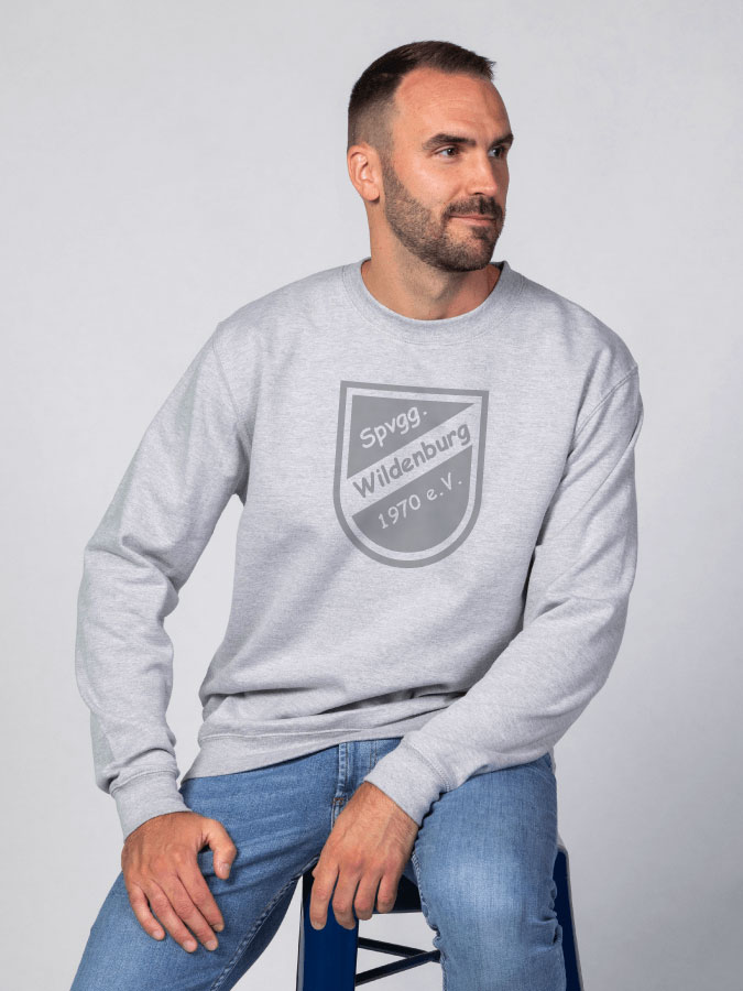 Sweater All Grey Herren