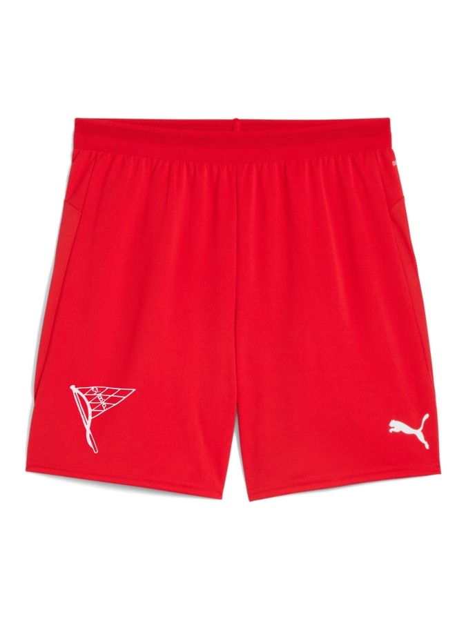 PUMA teamCUP Shorts