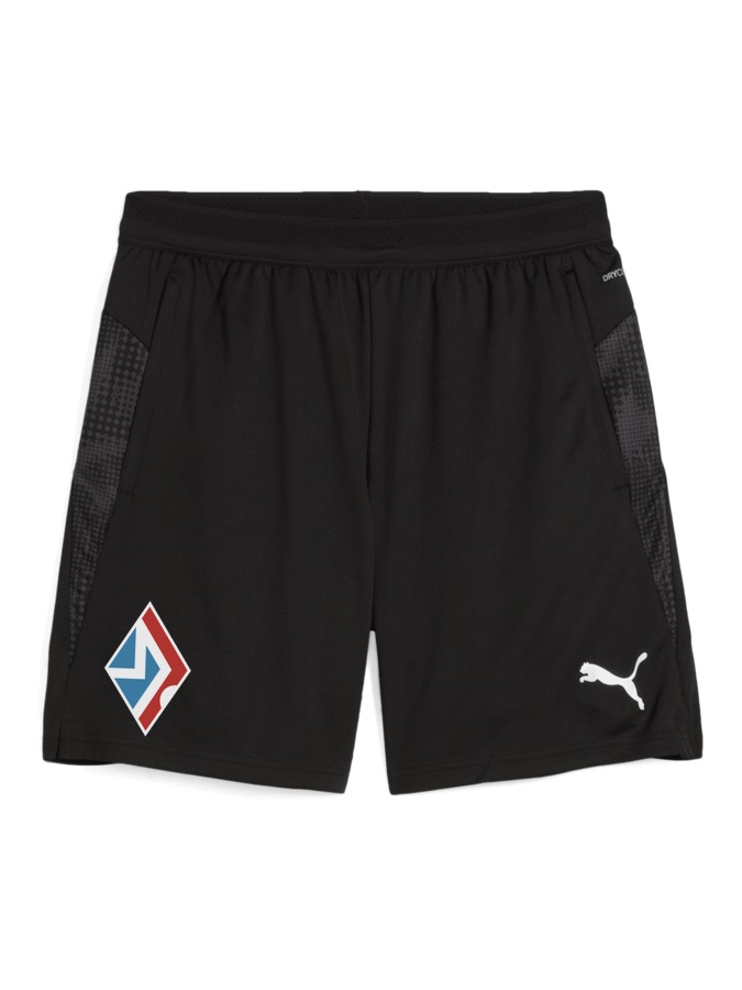 PUMA teamCUP Training Shorts