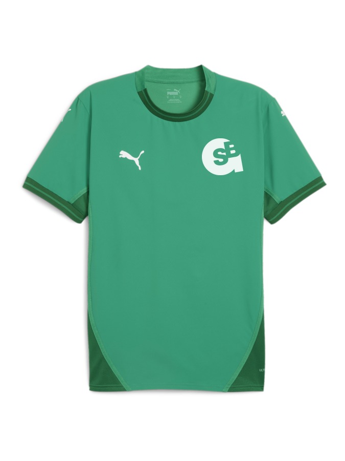 PUMA teamFINAL Trikot