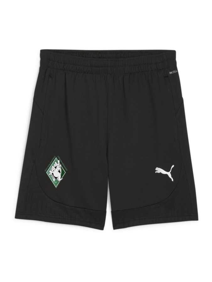 PUMA teamFINAL Training Shorts