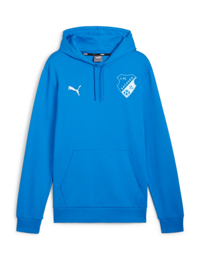 PUMA teamGOAL Casuals Hoody