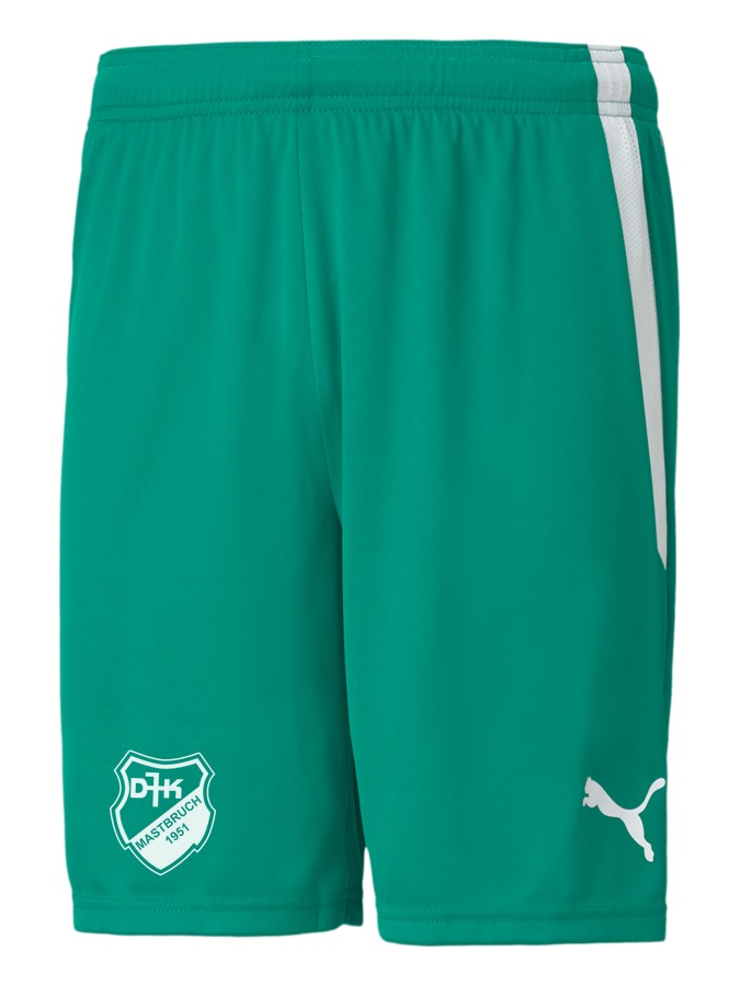 PUMA teamLIGA Shorts