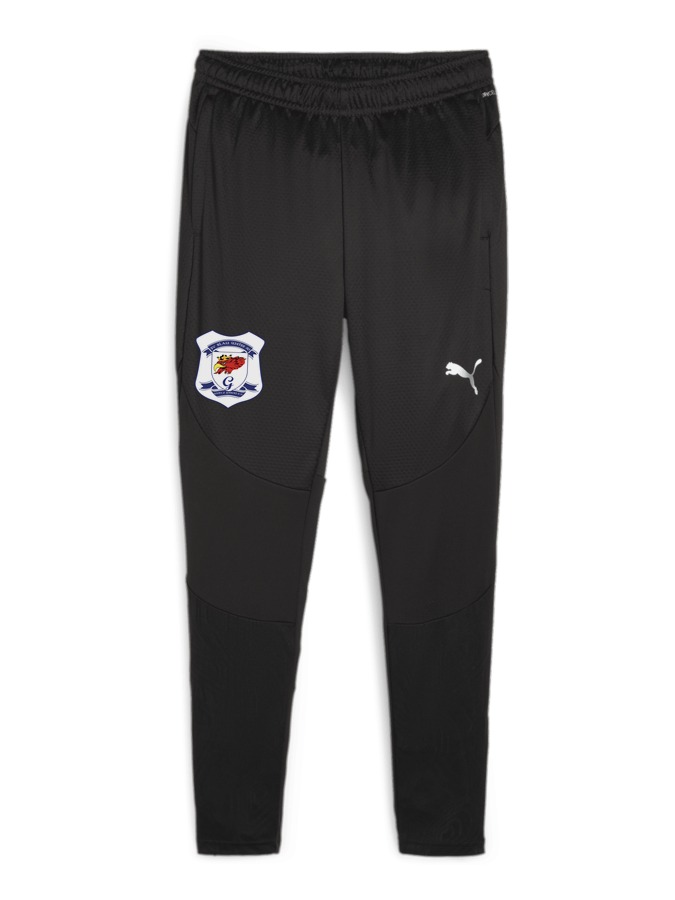 PUMA teamFINAL Trainingshose