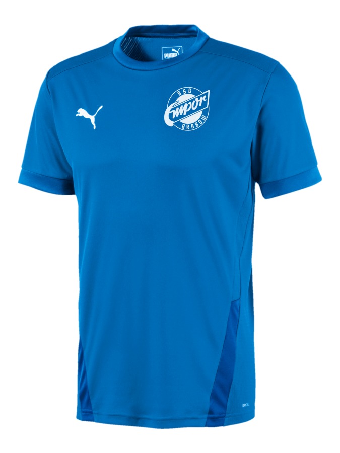 PUMA teamGOAL 23 Trikot