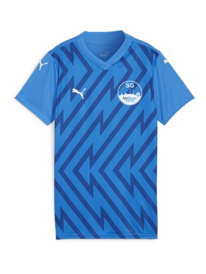 PUMA teamGLORY Trikot Damen