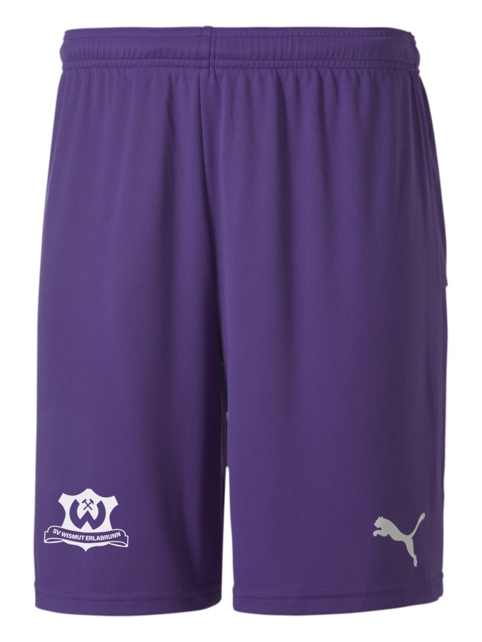 PUMA teamGOAL 23 Knit Shorts