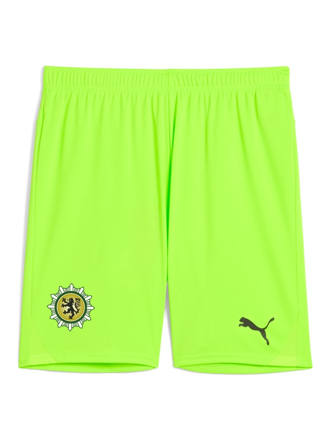 PUMA teamGOAL Shorts