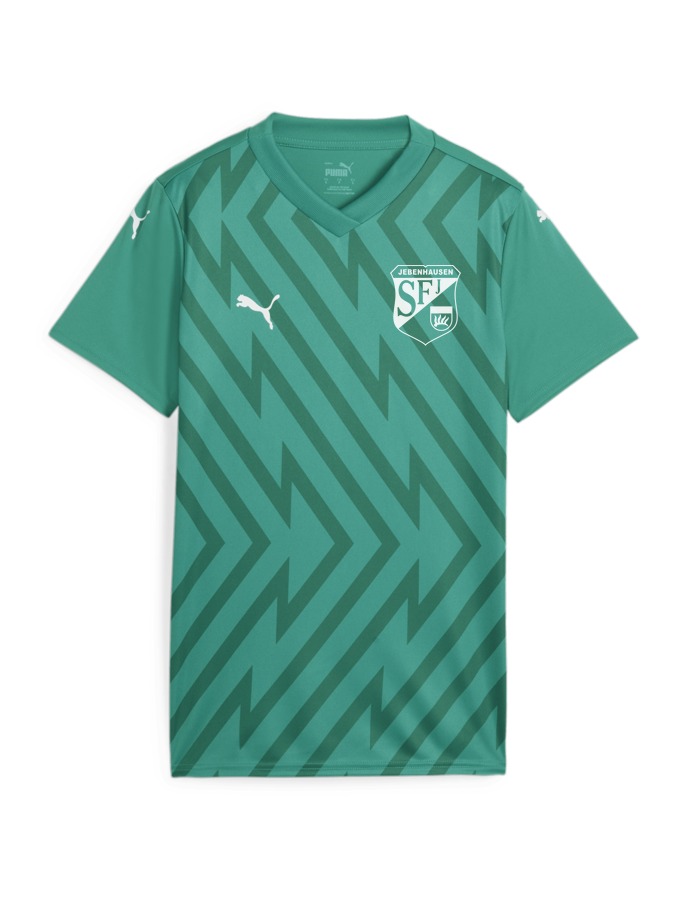 PUMA teamGLORY Trikot Damen
