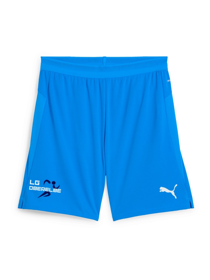 PUMA teamCUP Shorts