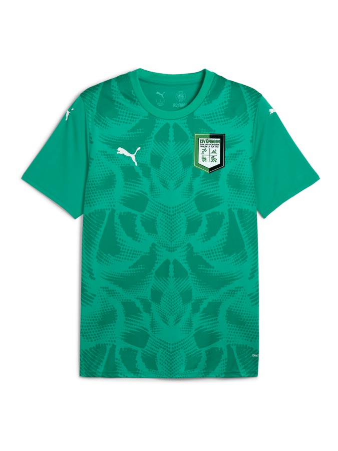 PUMA teamULTIMATE Trikot