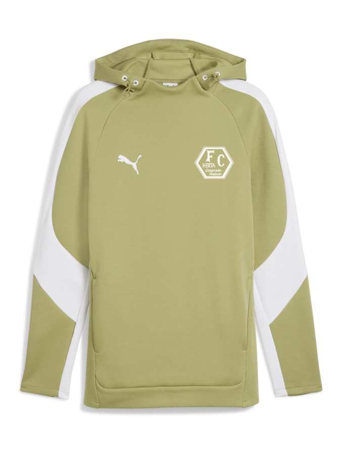 PUMA teamEVOSTRIPE Hoody