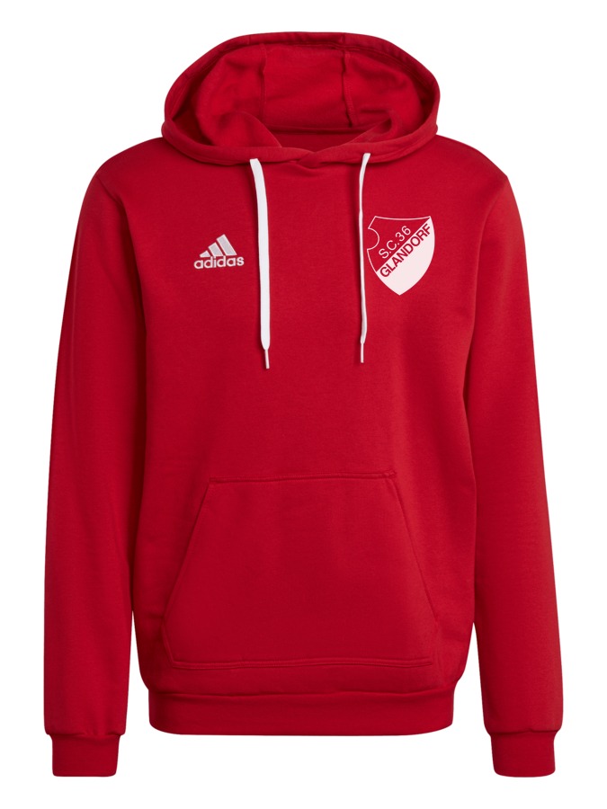 adidas Entrada 22 Hoodie