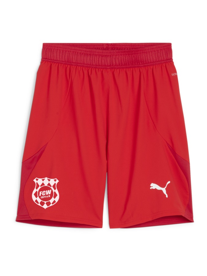 PUMA teamFINAL Shorts