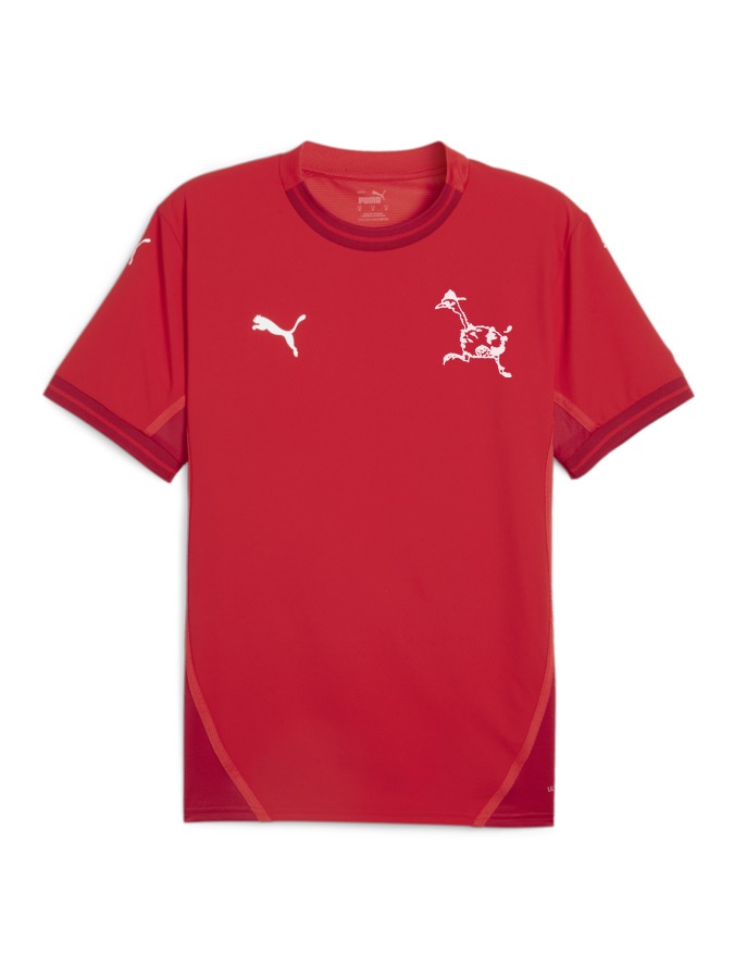 PUMA teamFINAL Trikot
