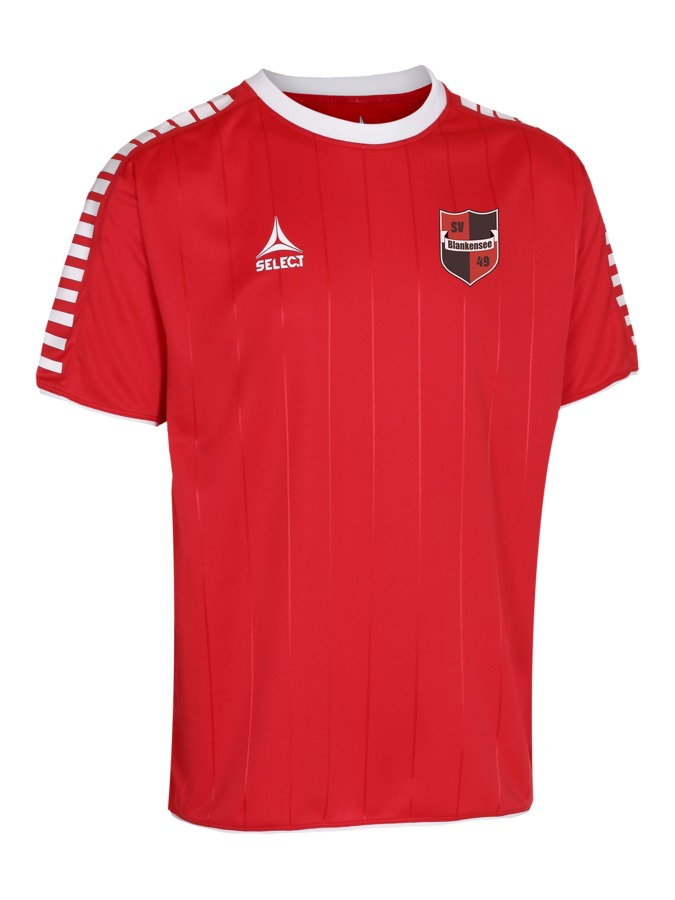 Select Argentina Trikot
