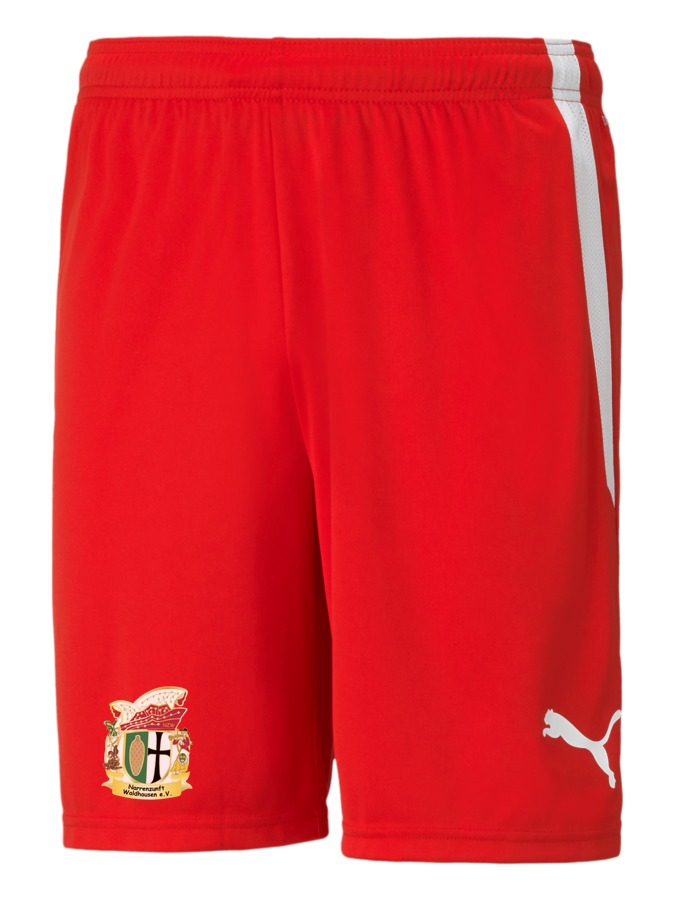 PUMA teamLIGA Shorts